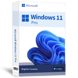 Microsoft Windows 11 Professional Digital License